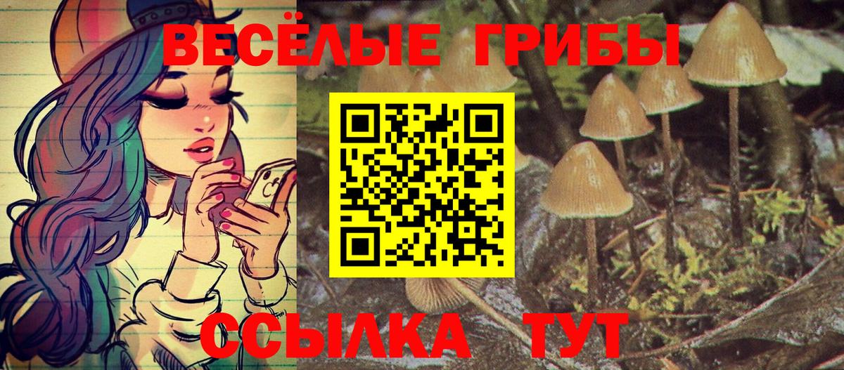 Галлюциногенные грибы GOLDEN TEACHER Кубинка
