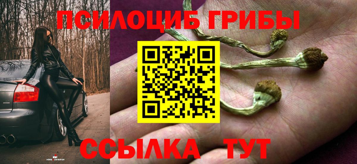 Псилоцибиновые грибы Cubensis  Псилоцибиновые грибы GOLDEN TEACHER  Вход с VPN  Кубинка 